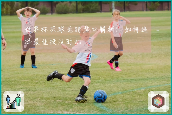 世界杯买球竞猜盘口解析：如何选择最佳投注时机