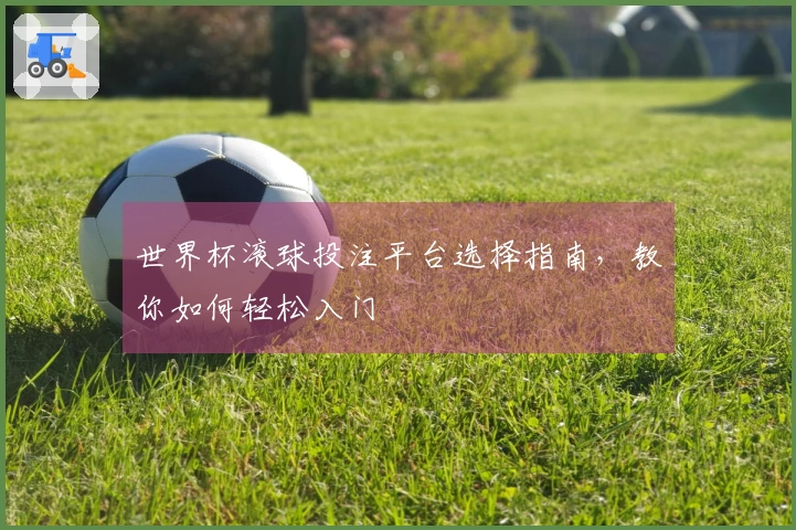 世界杯滚球投注平台选择指南，教你如何轻松入门