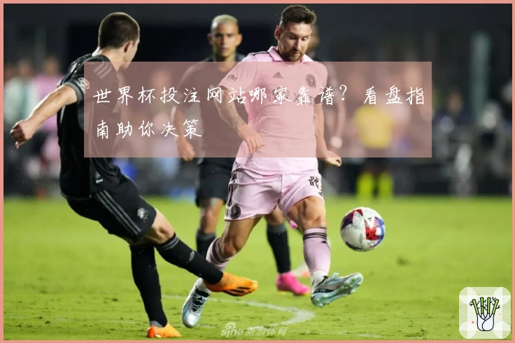 世界杯投注网站哪家靠谱？看盘指南助你决策