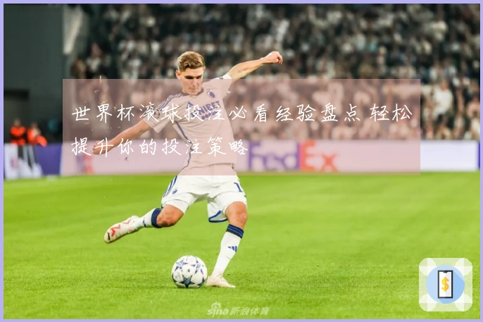 世界杯滚球投注必看经验盘点 轻松提升你的投注策略