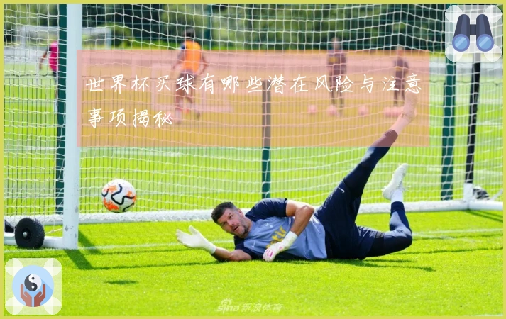 世界杯买球有哪些潜在风险与注意事项揭秘