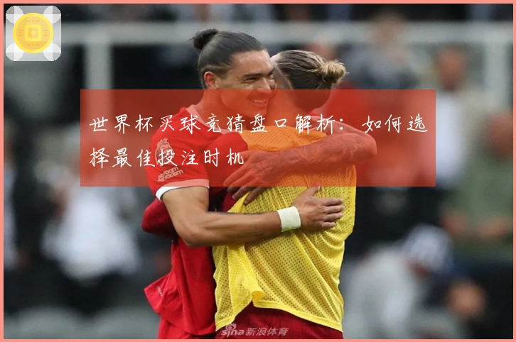 世界杯买球竞猜盘口解析：如何选择最佳投注时机