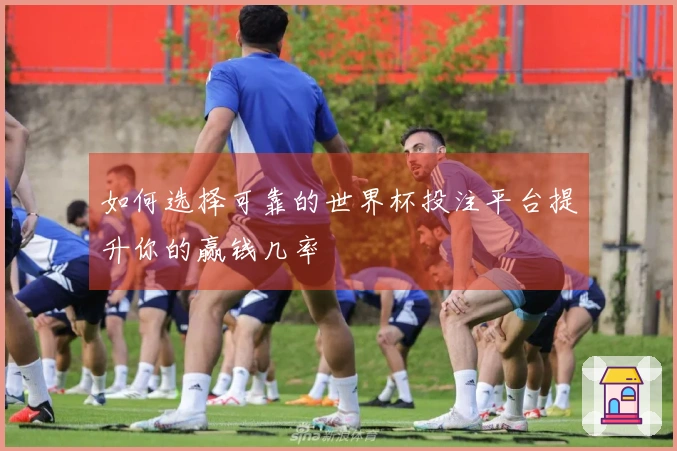 如何选择可靠的世界杯投注平台提升你的赢钱几率