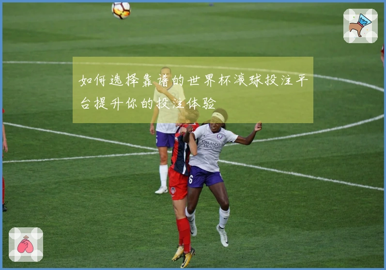 如何选择靠谱的世界杯滚球投注平台提升你的投注体验