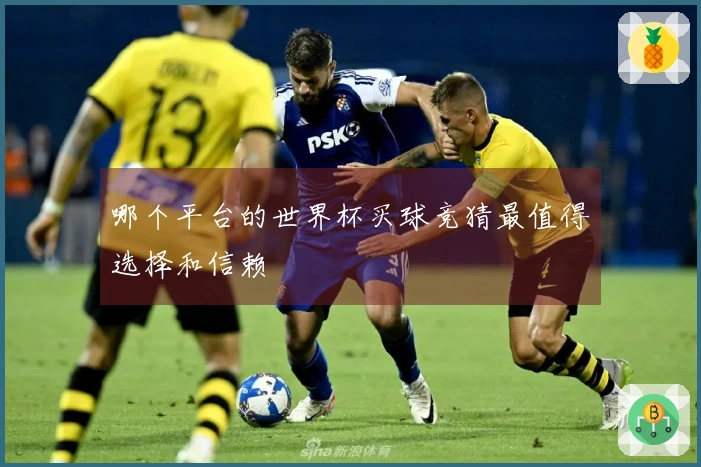 哪个平台的世界杯买球竞猜最值得选择和信赖