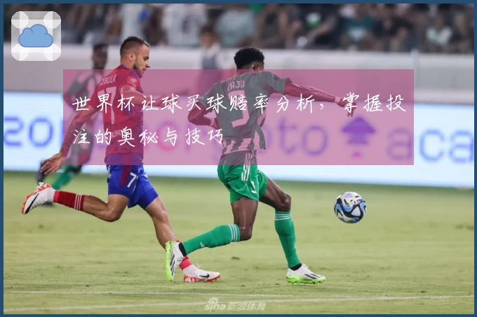 世界杯让球买球赔率分析，掌握投注的奥秘与技巧
