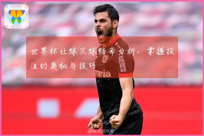 世界杯让球买球赔率分析，掌握投注的奥秘与技巧